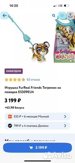 Тигренок на поводке