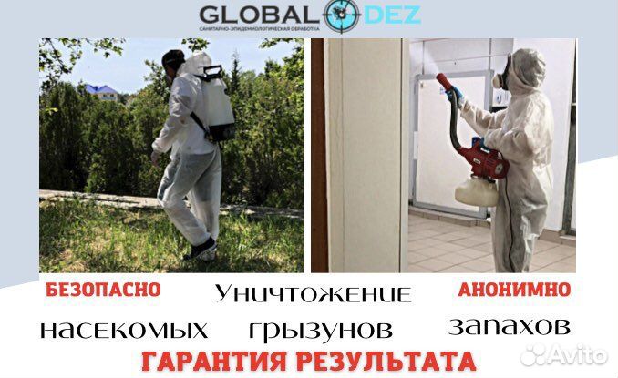 Дезинсекция Дератизация Дезинфекция