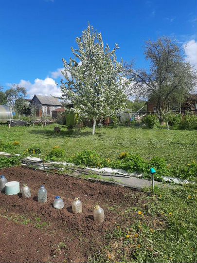 Дом 20 м² на участке 6 сот.