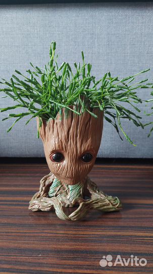 Кашпо Грут с растением Малочай