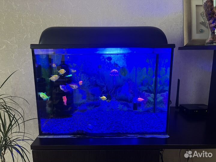 Аквариум