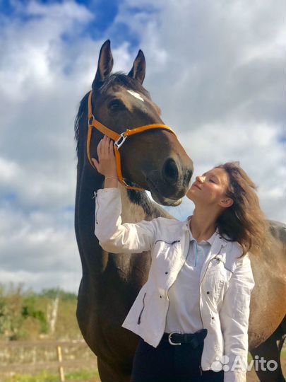 Фотосессии с лошадьми