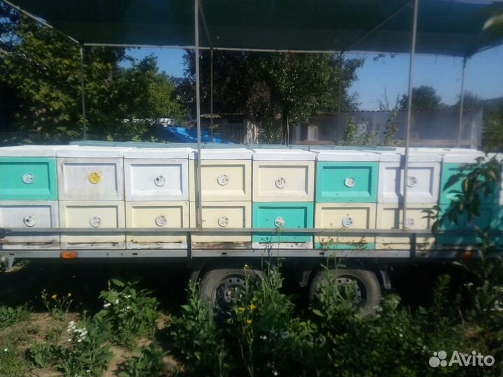 Ford Transit Connect 1.8 МТ, 2008, 360 000 км