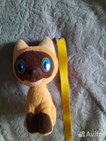 Котенок по имени Гав.мишка из Маши.Винни пух