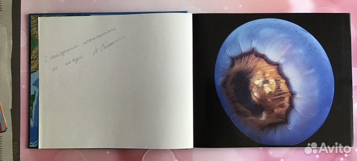 Книга Фотоальбом подводный мир камчатки раритет