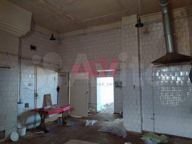 Пищевое производство 252 кв.м