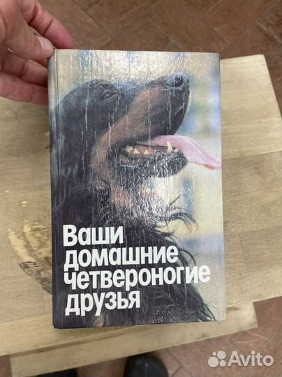 Книга Ваши домашние четвероногие друзья