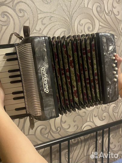 Аккордеон детский белорусский