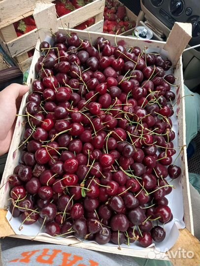 Клубника свежая ягода