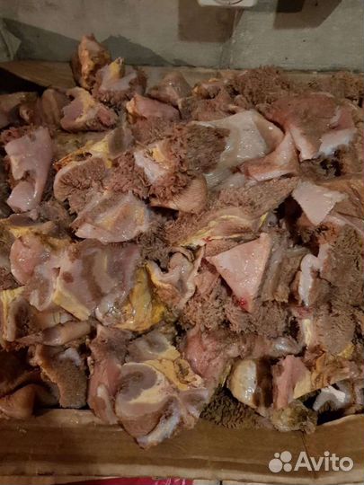 Корм для собак