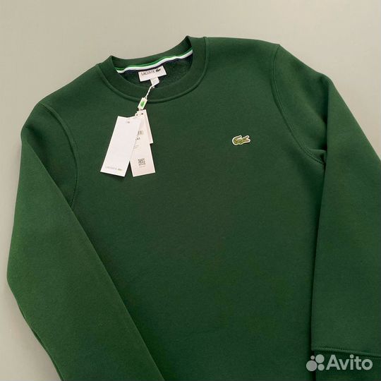 Свитшот мужской lacoste зимний