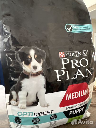 Сухой корм для собак