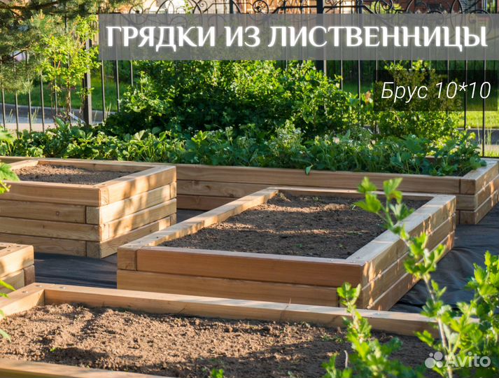 Грядки из лиственницы