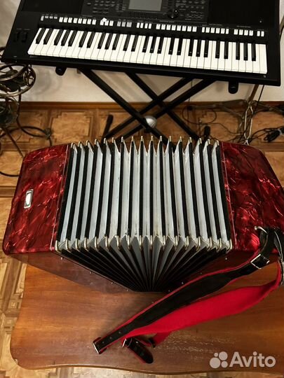 Баян тула 302