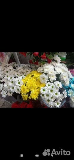 Цветы к Вашему празднику с доставкой