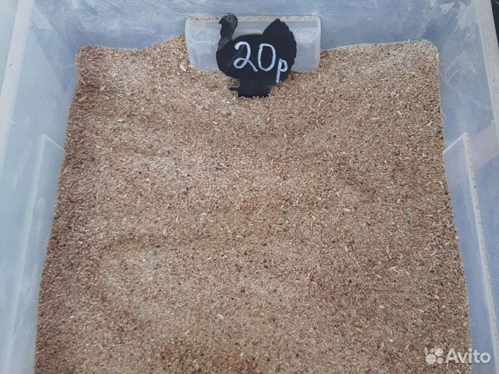 Корма для сельзоз животных