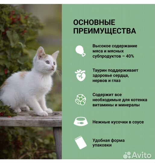 Влажный корм для котят