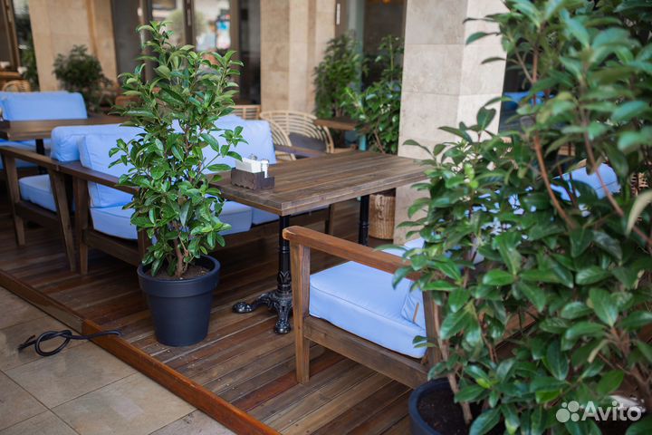 Продажа ресторана