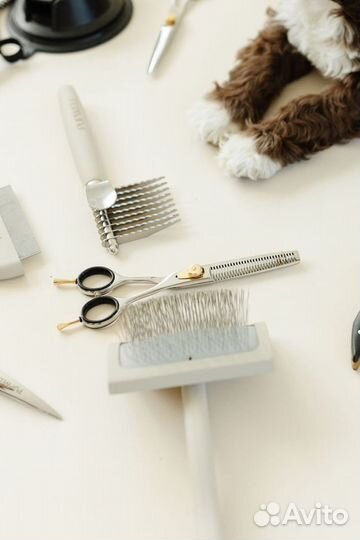 Груминг собак