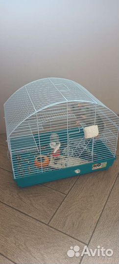 Крыса дамбо с клеткой