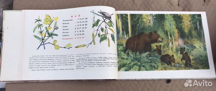 Календарь природы на 1956 год