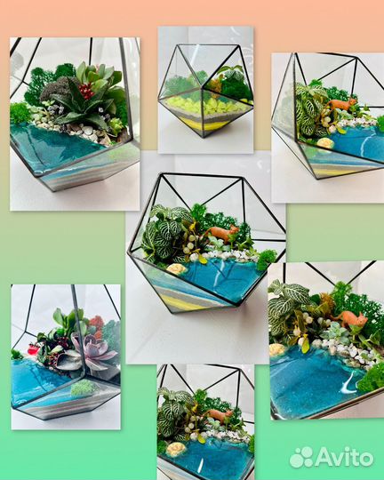 Флорариум с экзотичнакими цветами