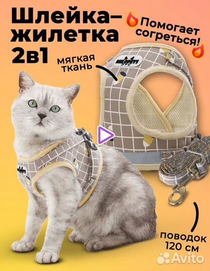 Шлейка - жилетка для кошек и собак