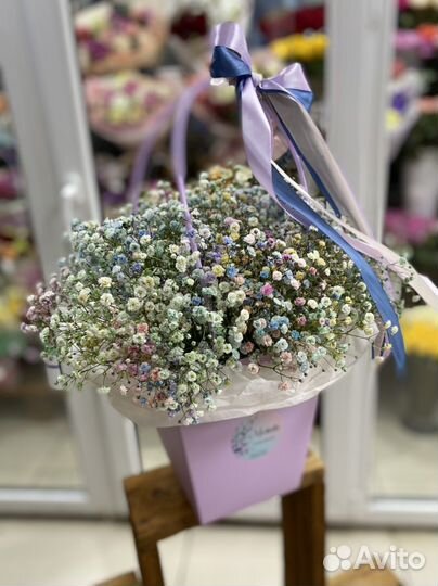 Цветы гипсофила