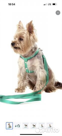 Шлейка(поводок) для кошек и маленьких собак