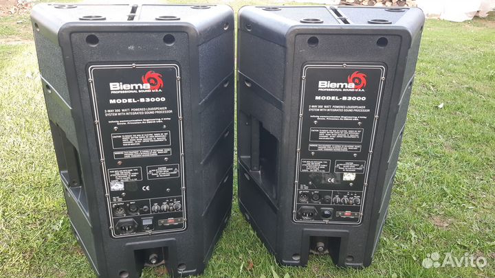 Активные колонки biema B3000