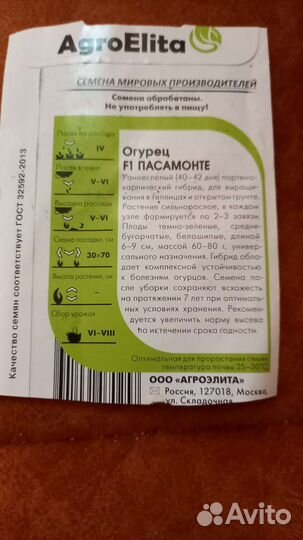 Рассада огурцов