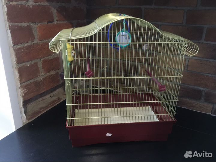 Клетка iMac Serena