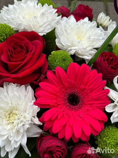 51 Роза Ред Наоми 50 см в оформлении