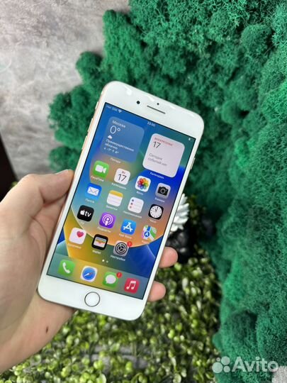 iPhone 8 Plus, 64 ГБ