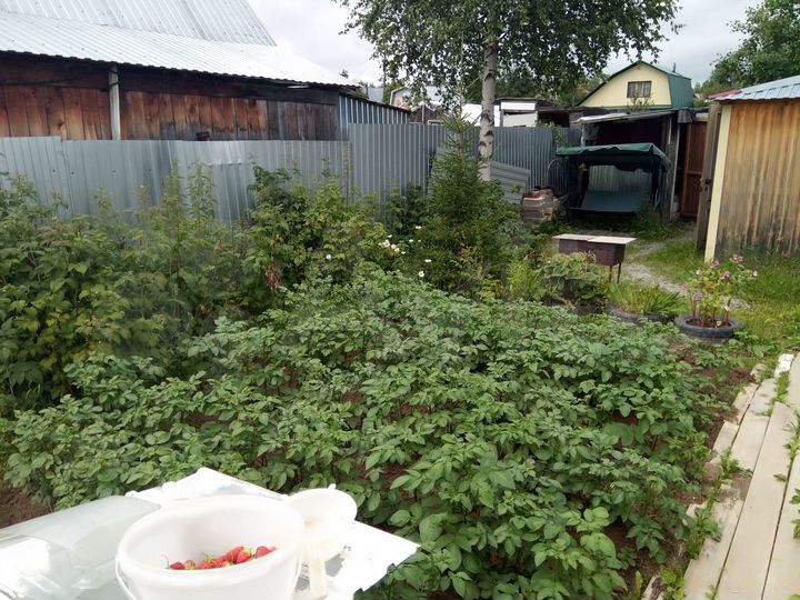 Дача 30 м² на участке 4,1 сот.