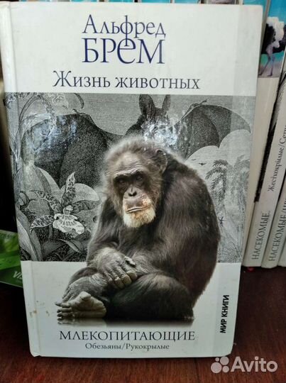 Энциклопедии