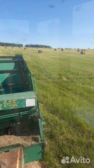 Продам сено в рулонах