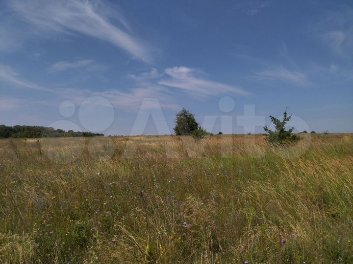 Участок 1,3 га (ИЖС)