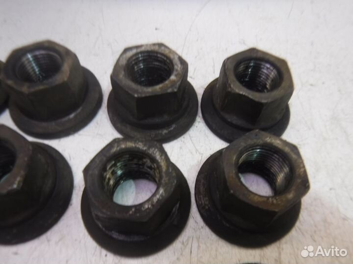 Гайка колеса Iveco Daily IV