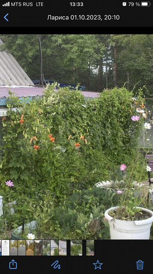 Дача 12 м² на участке 12 сот.