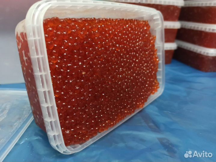 Красная икра