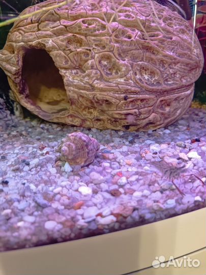 Аквариум с тумбой и внешним фильтром