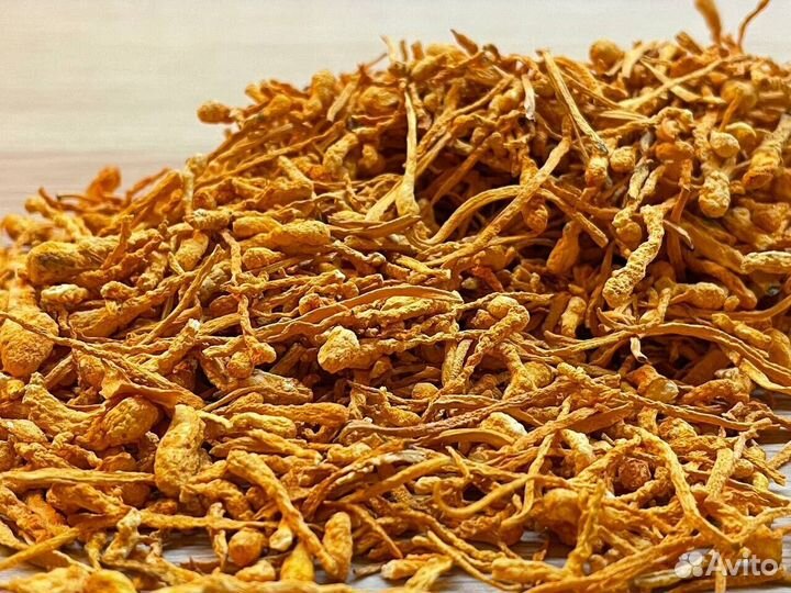 Гриб сушеный Кардицепс Китайский