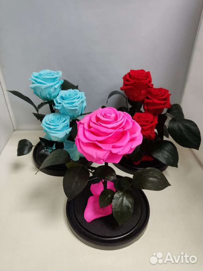 Цветы оптом