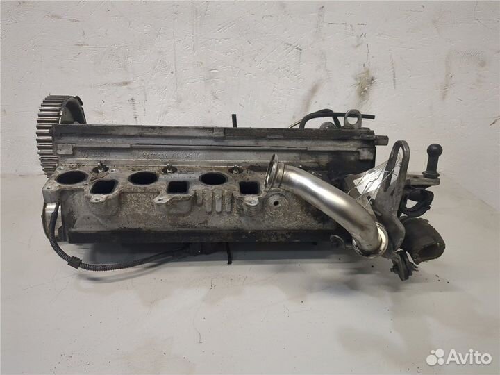 Головка блока (гбц) Volkswagen Golf Plus, 2010