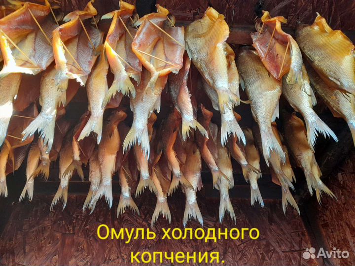 Свежая рыба