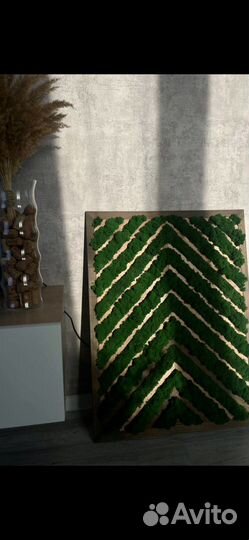 Мох стабилизированный фитостена фитокартина панно