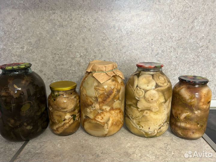 Грибы Грузди белянки опята свинухи