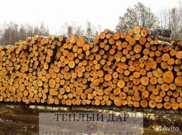 Дрова сухие
