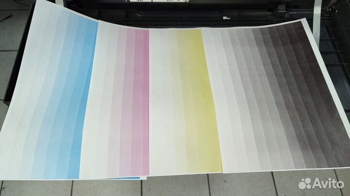 Цветной мфу Konica Minolta bizhub C224